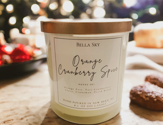 Everyday Living Christmas Candle- 8.5oz